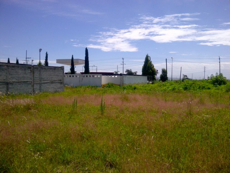 terr1-03.jpg